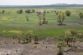 0922-1407 NT Kakadu (9223133)